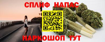 мдпв Будённовск
