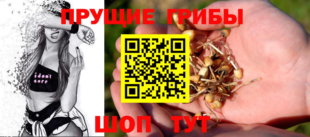 Уварово  Псилоцибиновые грибы Psilocybe  Вход с VPN 
